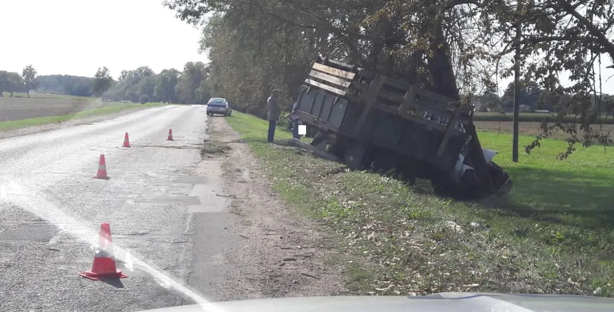 Машына са свіннямі ўрэзалася ў дрэва пад Гроднам (фота)