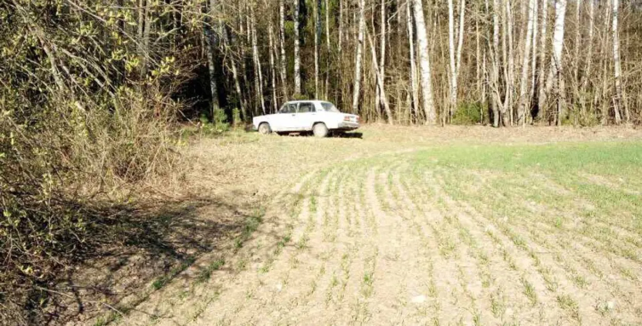 Зніклага старшыню сельсавета на Гродзеншчыне знайшлі мёртвым