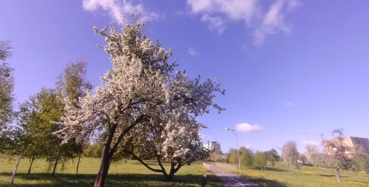 Весной в Беларуси / Из архива Еврорадио