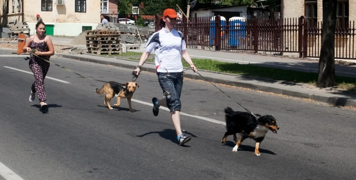 У Гродне на марафоне беглі нявесты, сабакі ды слінгамамы (фота)