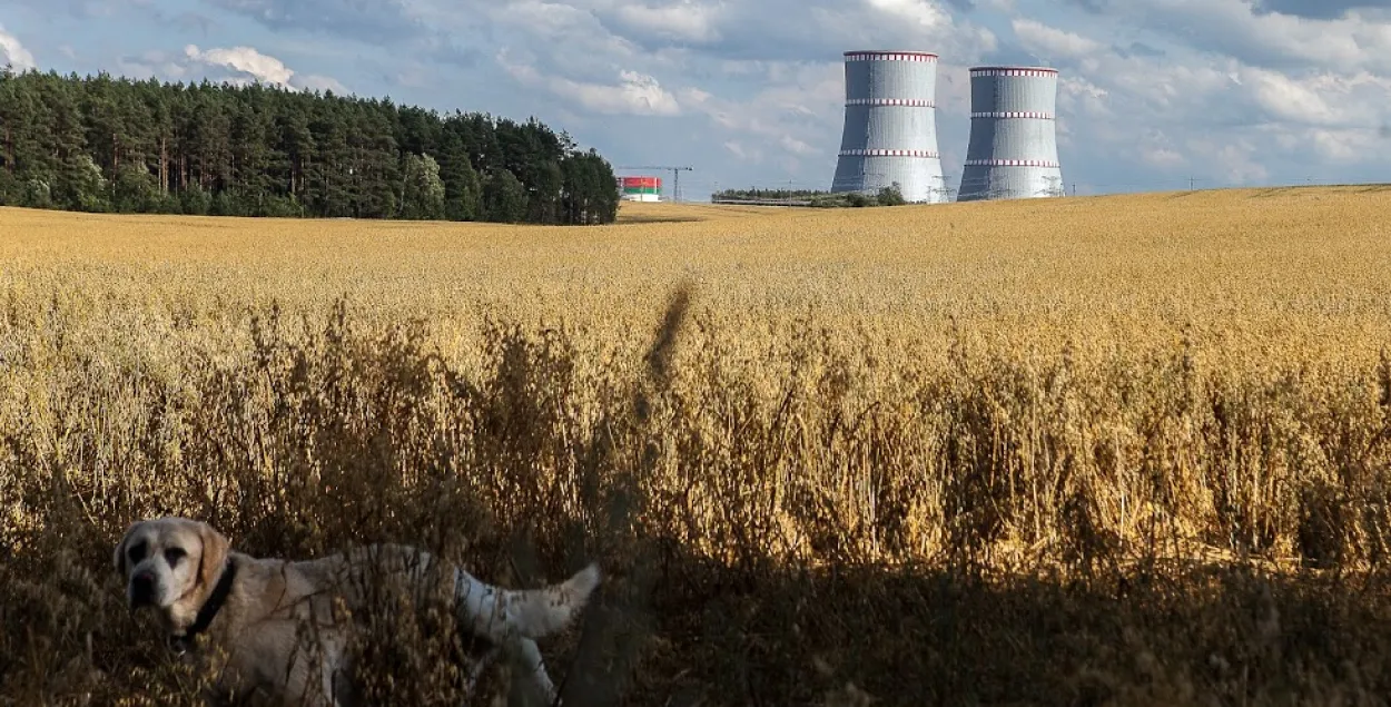 Мінэнерга — пра планы блакіроўкі ў ЕС паставак электраэнергіі з Беларускай АЭС