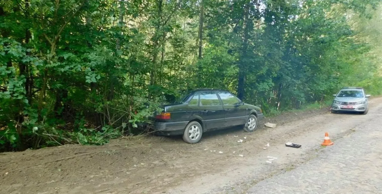 Кампанію ўдалося затрымаць толькі пасля таго, як кіроўца не справіўся з кіраваннем і з&#39;ехаў на ўзбочыну / sk.gov.by​