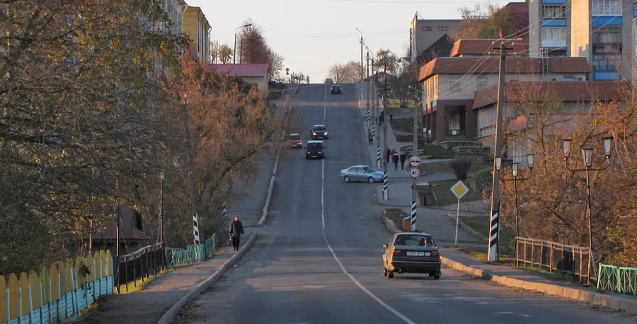 Жалоба из Копыля: в городе завёлся “Толя Бобёр”, который уничтожает деревья