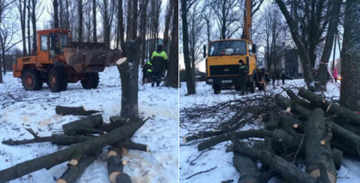 Абаронцу парка Катоўка зачапіў трактар, міліцыя склала пратакол