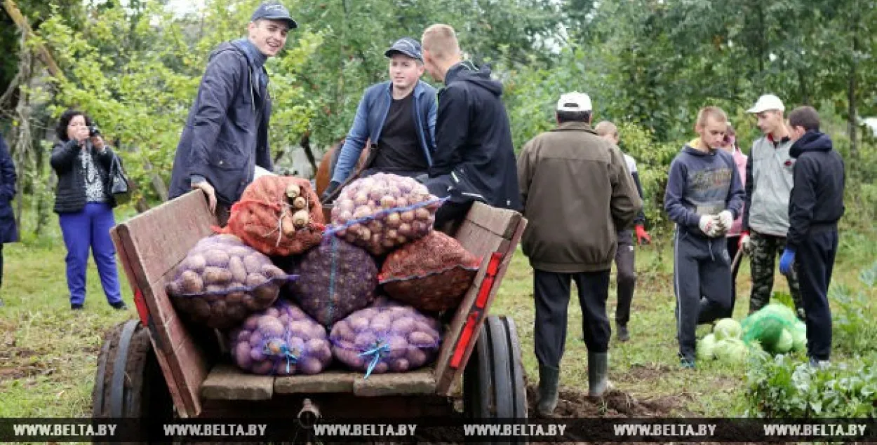 У беларускіх школах ў новым навучальным годзе з'явяцца агракласы