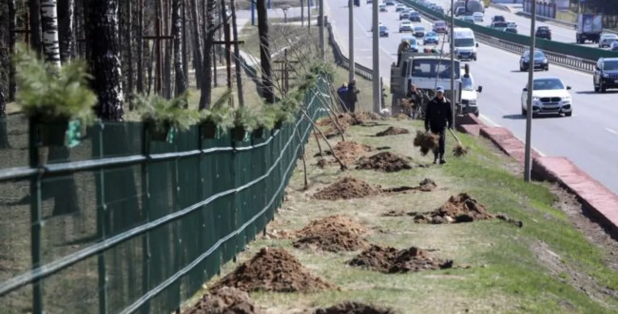 У Курапатах знішчылі ўсе металічныя крыжы з боку МКАД