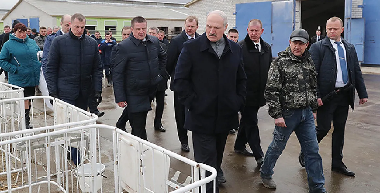 Пры паездцы ў аграхолдынг "Купалаўскае" Лукашэнка паздымаў з пасад чыноўнікаў