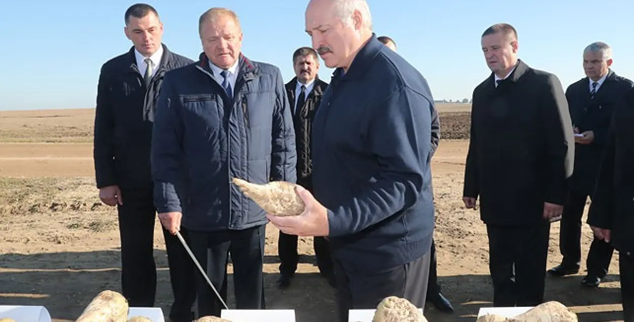 Лукашэнка параіў сельскай гаспадарцы зарабляць грошы