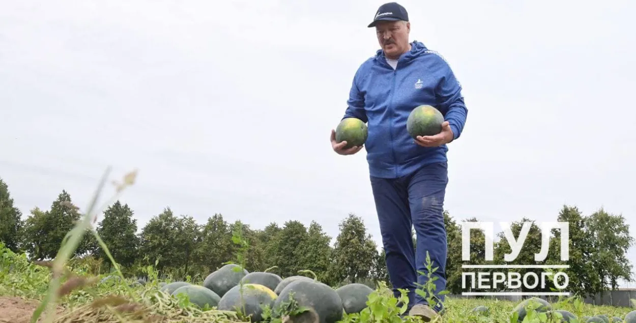 Лукашэнка з кавунамі / "Пул Першага"​