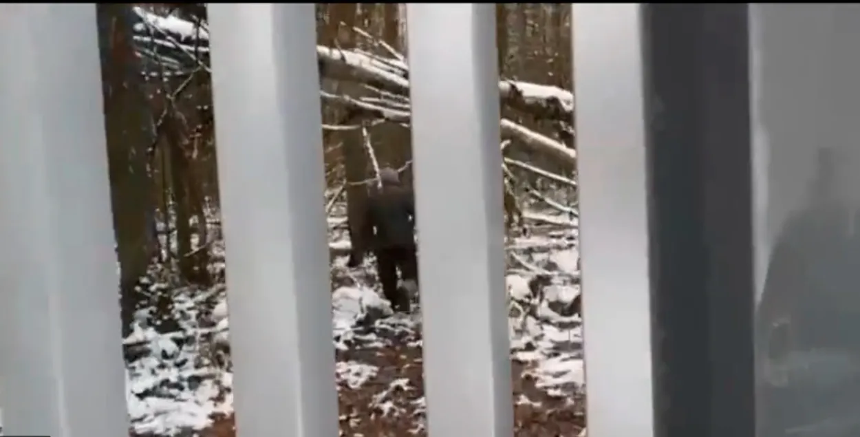 Нелегальные мигранты возле польской границы / кадр из видео
