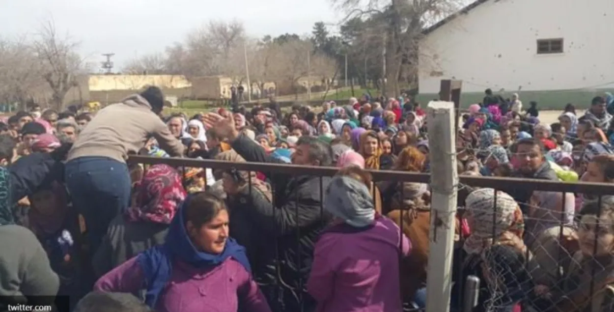 Нелегальныя мігранты прарываюцца ў Венгрыю нават праз высокую агароджу