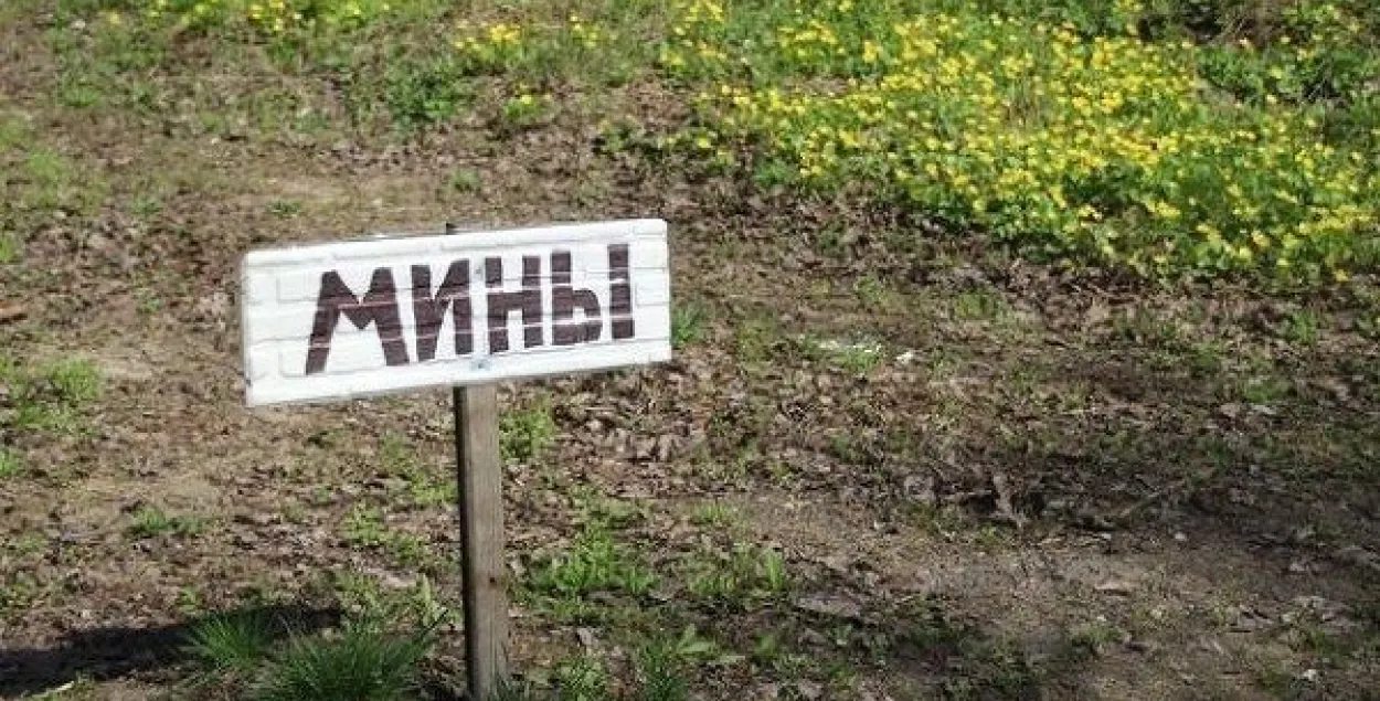 Пад Асіповічамі мужчына збіраў грыбы на ваенным палігоне і загінуў