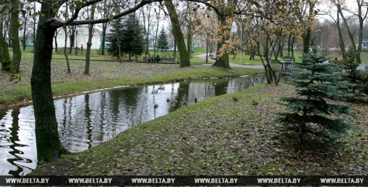 Фото: БЕЛТА