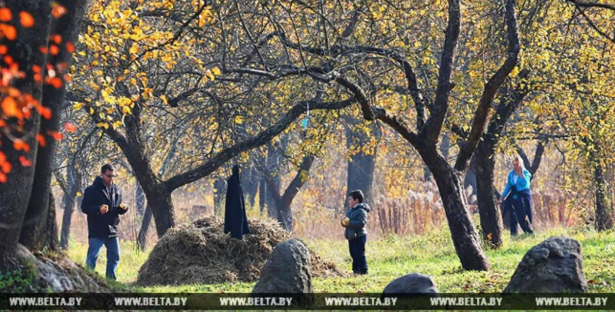 Фото: БЕЛТА