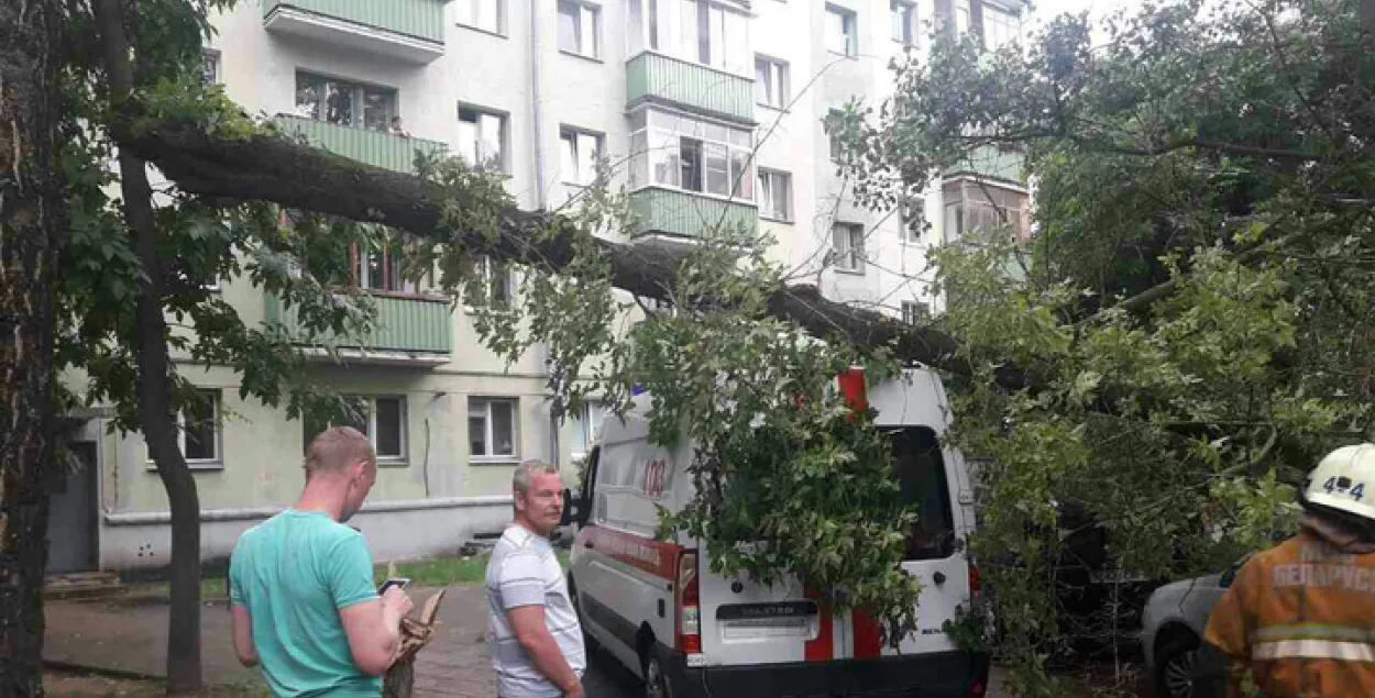 У Мінску моцны вецер паваліў дрэва на тры аўто, у тым лiку хуткую дапамогу