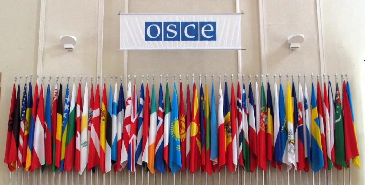 Заяву падпісалі прадстаўнікі 35 краін-удзельніц АБСЕ&nbsp; /&nbsp;osce.org