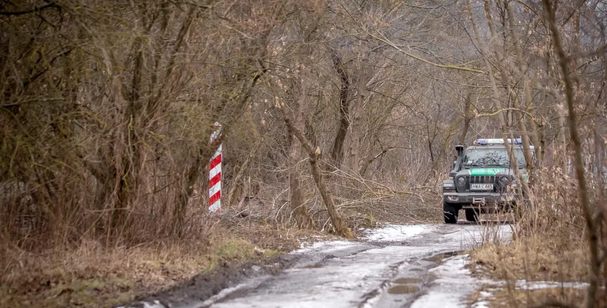 Польскія памежнікі: мігранты прылятаюць з Расіі ў Беларусь, каб перайсці мяжу