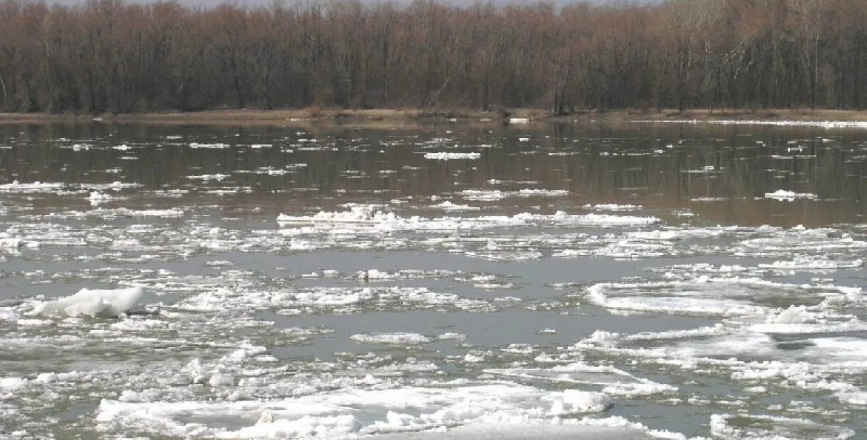 У Гродзенскай вобласці паводка, падтопленыя падворкі ў двух раёнах