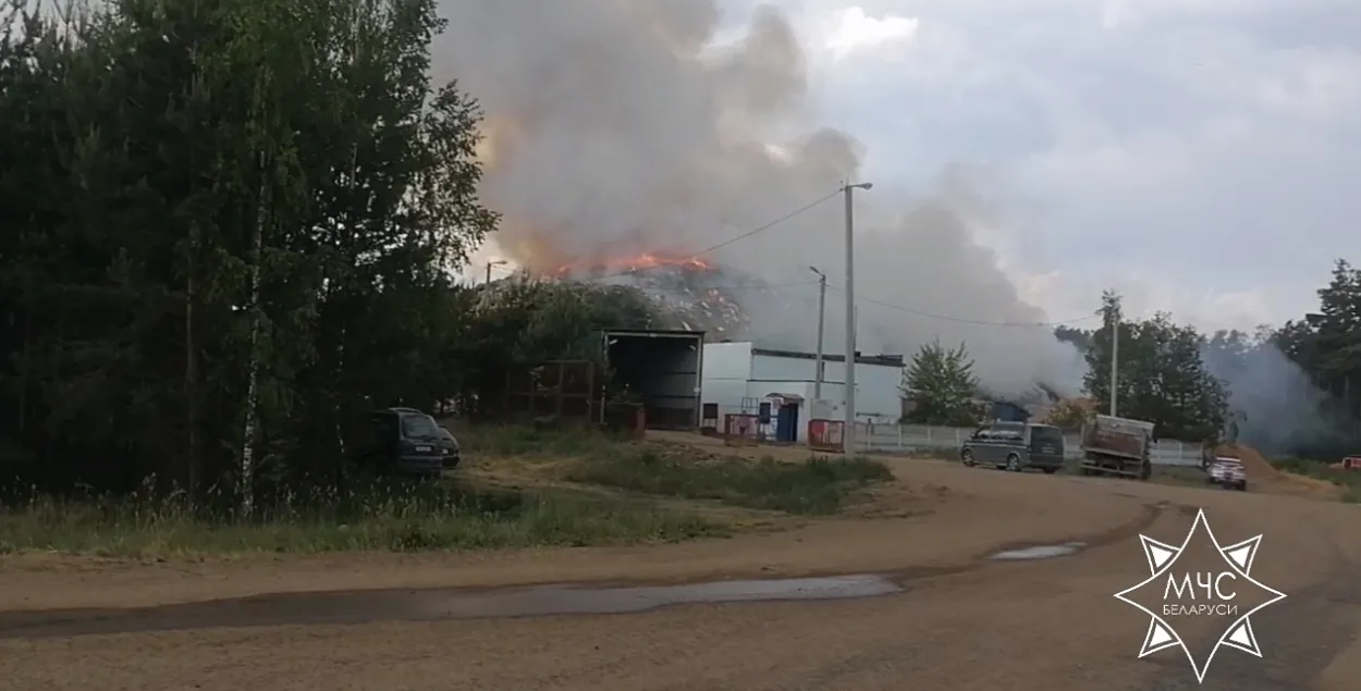 Пажар у Смалявіцкім раёне / кадр з відэа МНС
