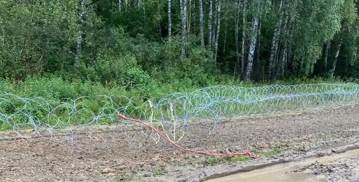 12 палякаў і галандзец знішчалі агароджу на польска-беларускай мяжы