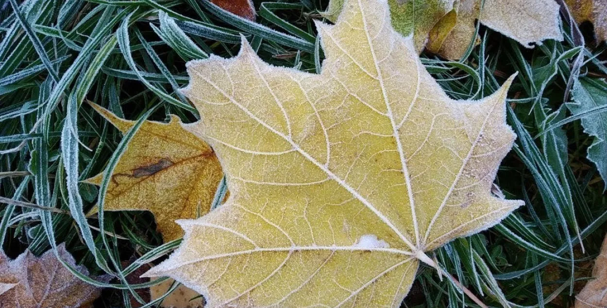 Замаразкі, ілюстрацыйнае фота
