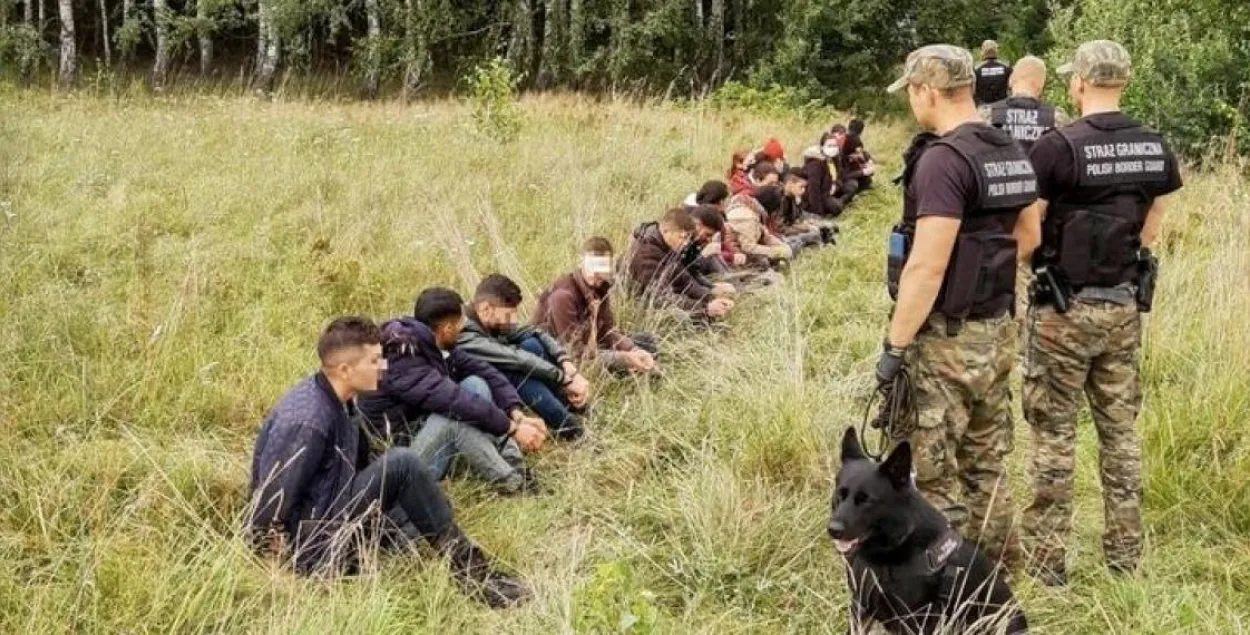 Польскія памежнікі затрымліваюць мігрантаў з тэрыторыі Беларусі / strazgraniczna.pl