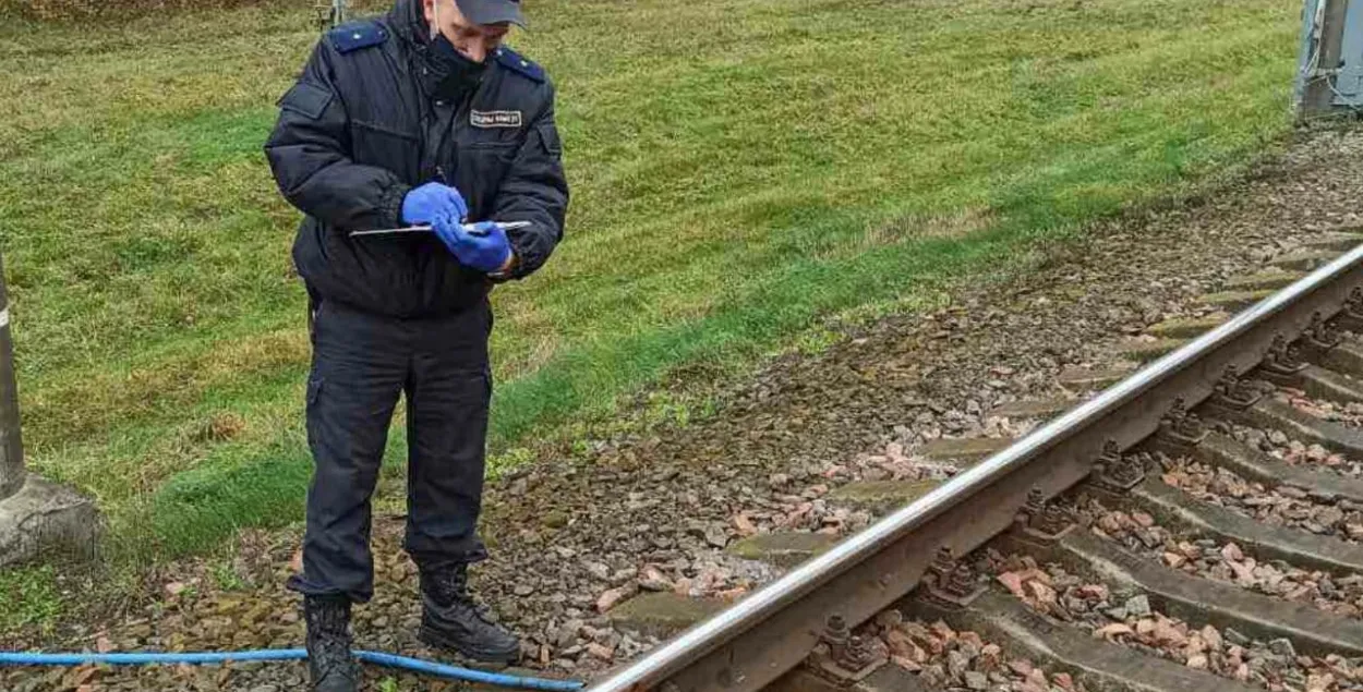 По делу "партизан" из Бреста задержаны 9 человек