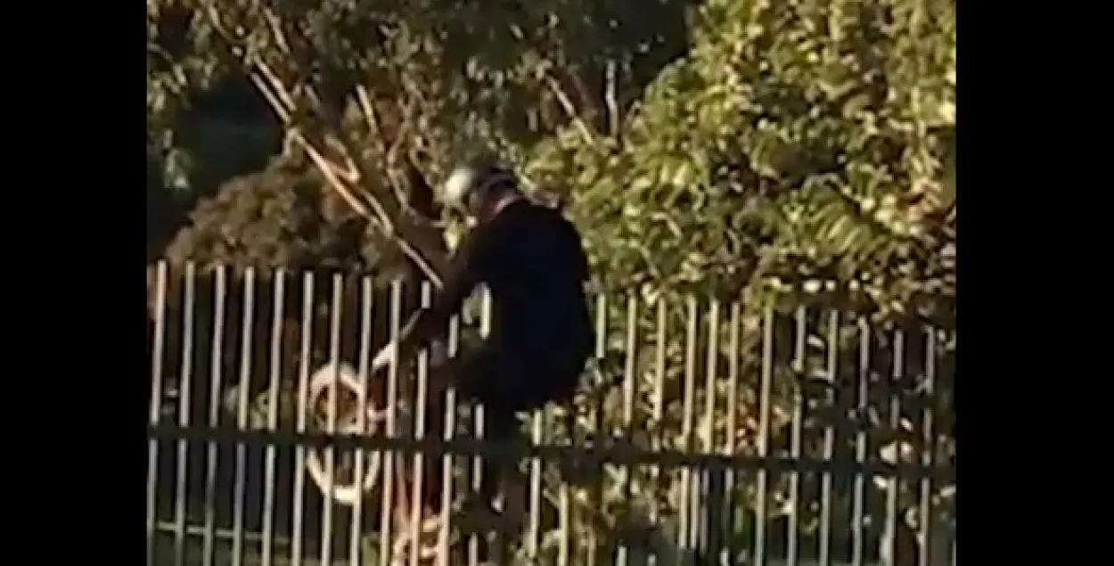 Фото: скриншот с видео.
