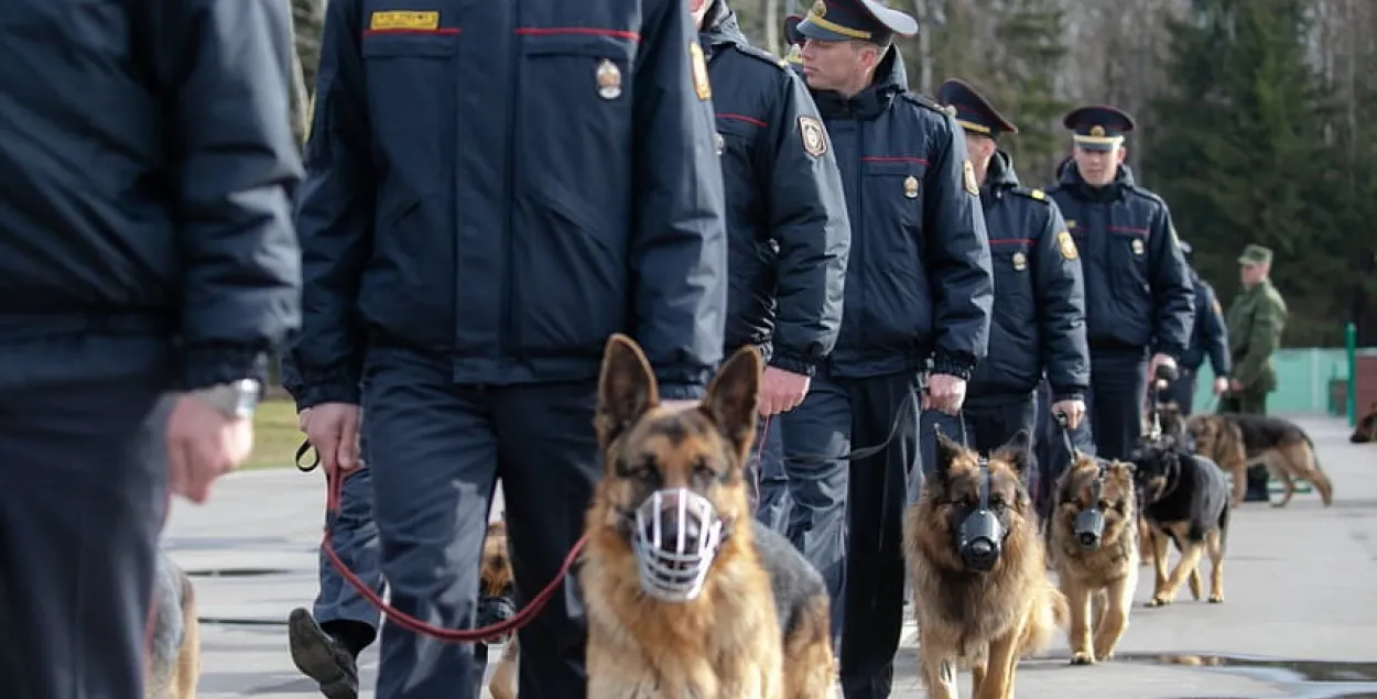 На Еўрапейскіх гульнях  задзейнічаюць 100 службовых сабак "з выключным нюхам"