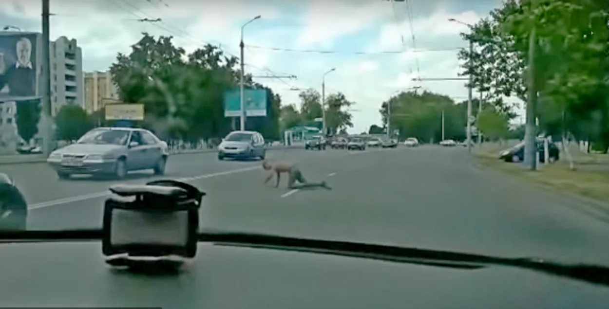 У Гомелі міліцыя шукае мужчыну, які перапаўзаў праспект