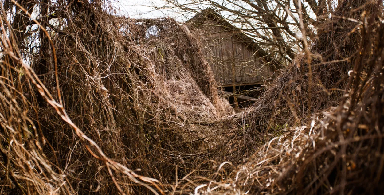 A house in the village of Barscouka. The 30-km exclusion zone, Chojniki district. Photo: Euroradio