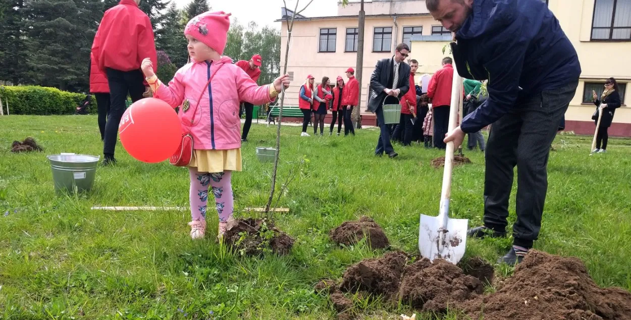 У Слуцку сквер сямейных дрэваў пасадзілі над... вадаправодам