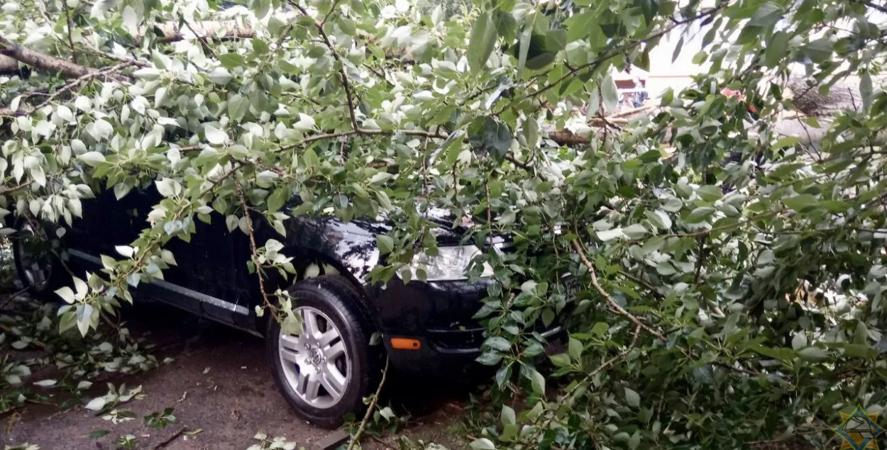 Залева ў Мінску спыніла рух дзевяці тралейбусных маршрутаў