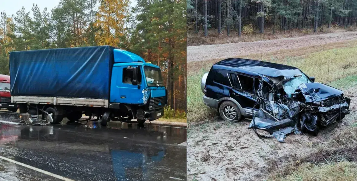 Кіроўца "Міцубісі" трапіў пад Светлагорскам у аварыю і ўцёк у лес