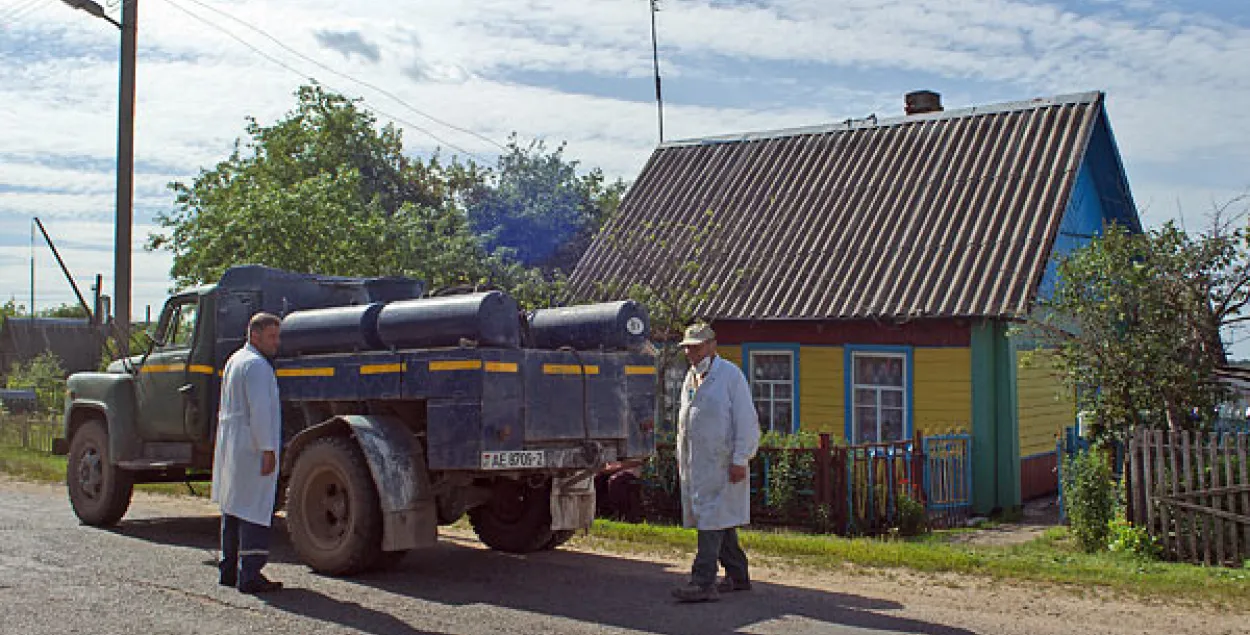 У Гарадоцкім раёне прымаюць надзвычайныя меры супраць афрыканскай чумы свіней