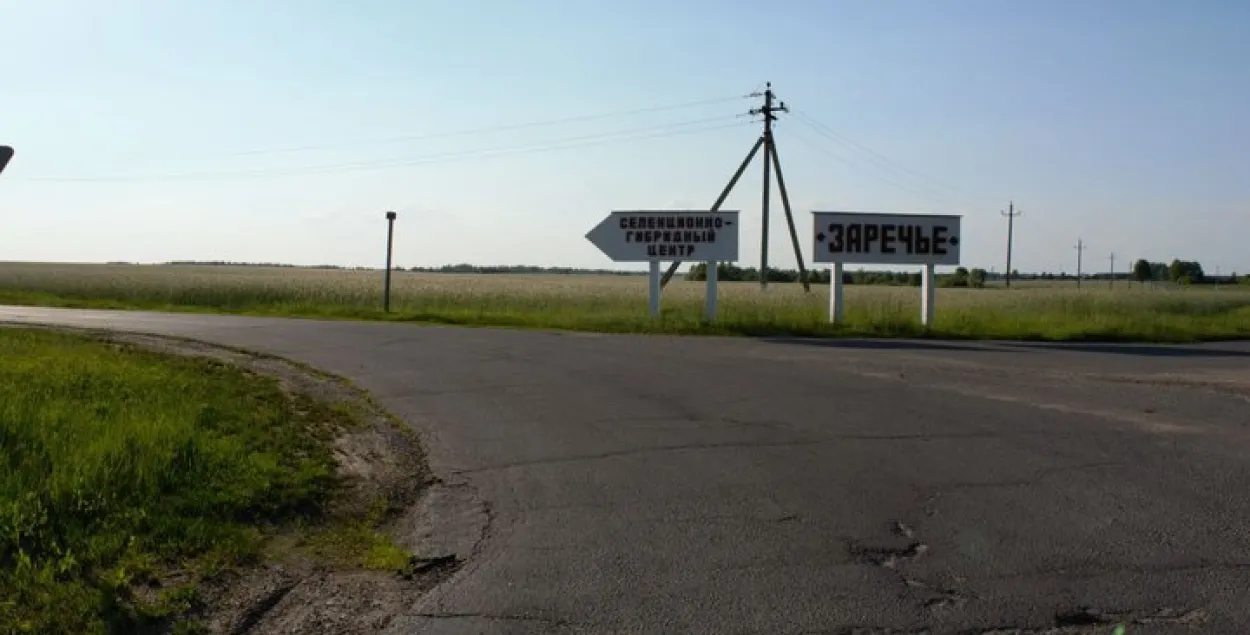 Дырэктара гаспадаркі, дзе з голаду дохлі свінні, адпусцілі на волю