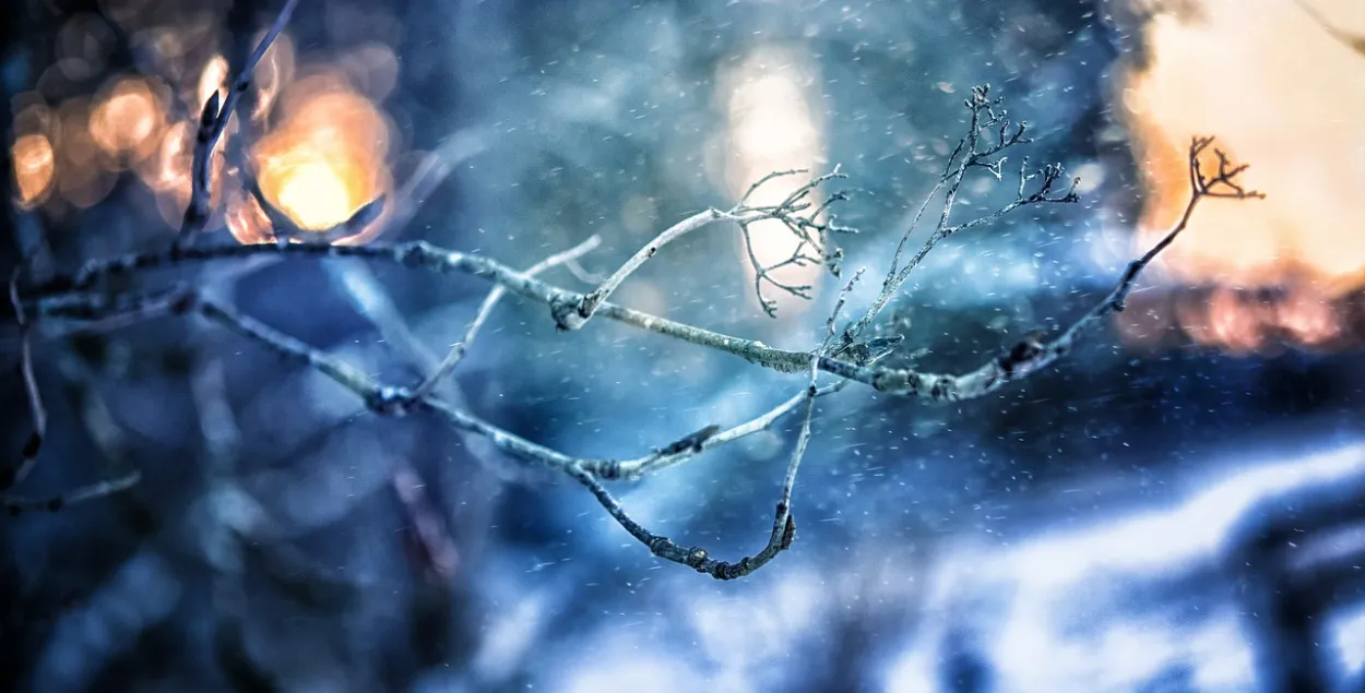 Фото: pixabay.com
