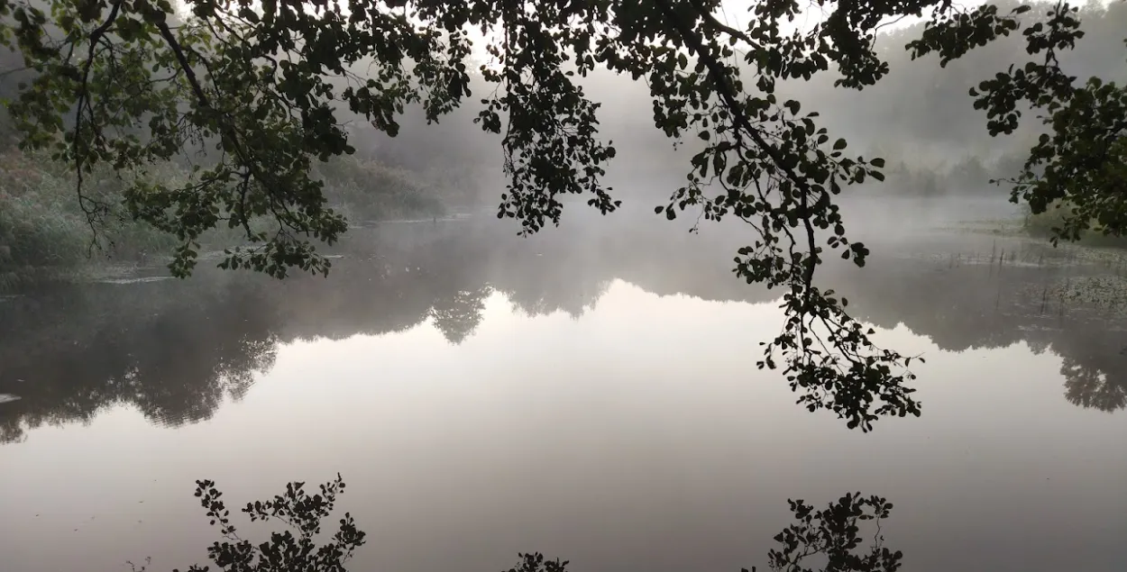 Туман у Беларусі, архіўнае фота