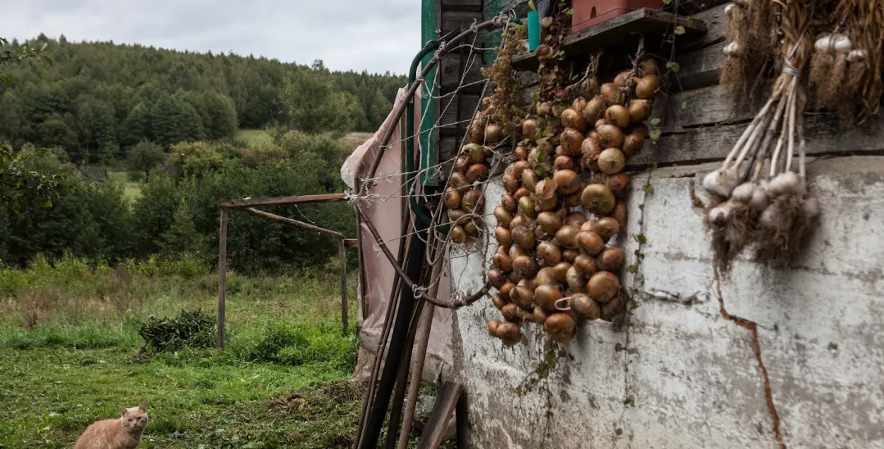 Восень у Беларусі