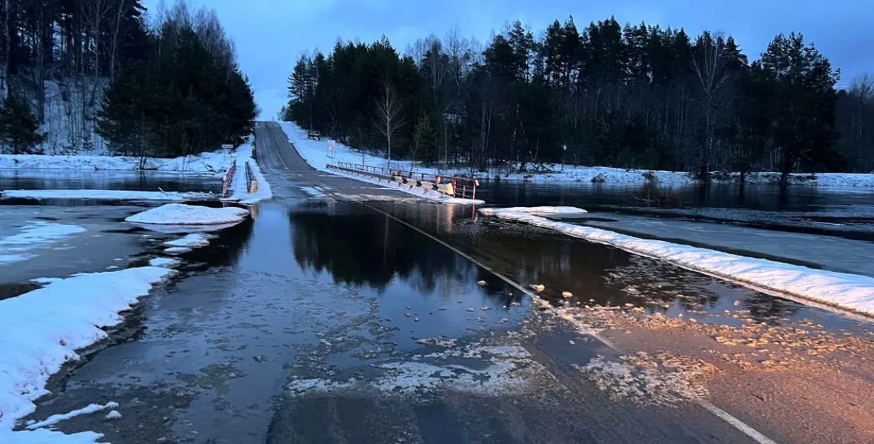 Это произошло в Славгородском и Чаусском районах&nbsp;