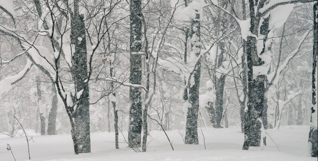 Завіруха, ілюстрацыйнае фота