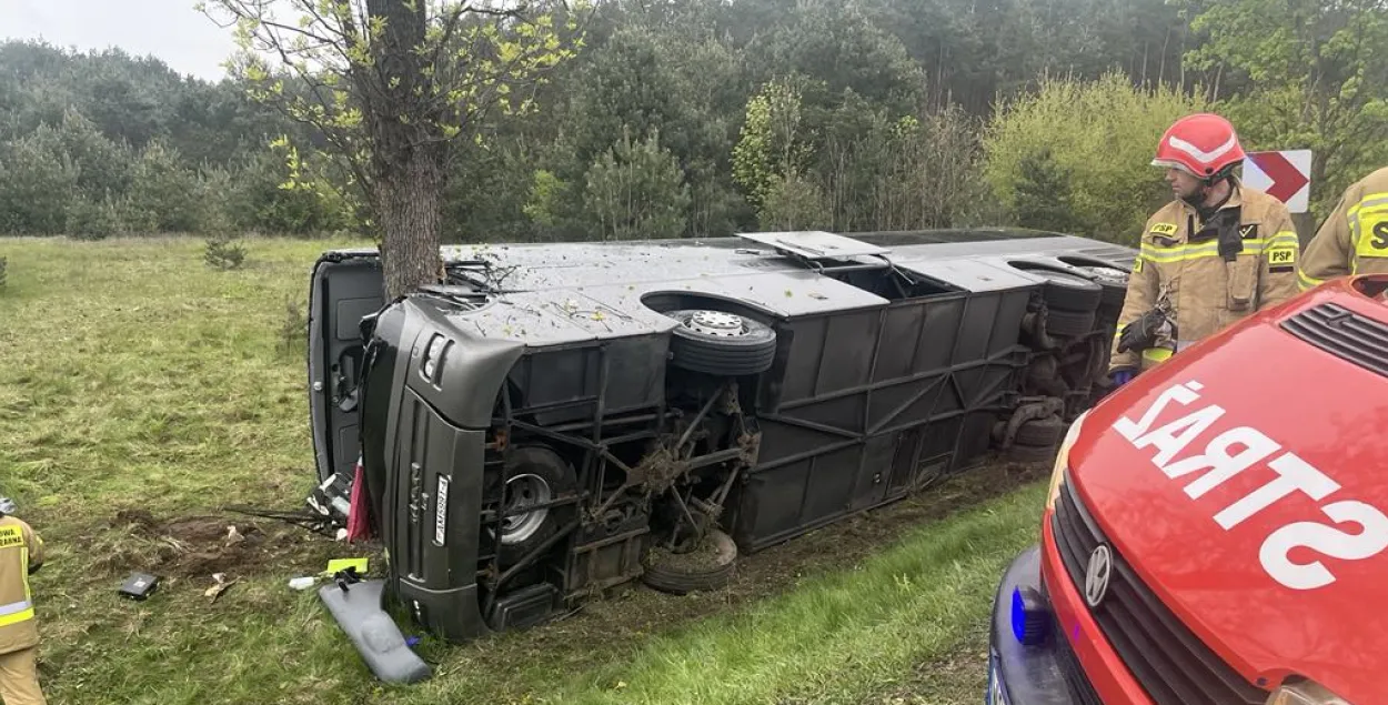 Автобус врезался в дерево на обочине&nbsp;
