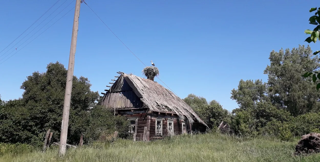 Лета ў Кудрычах на Палессі
