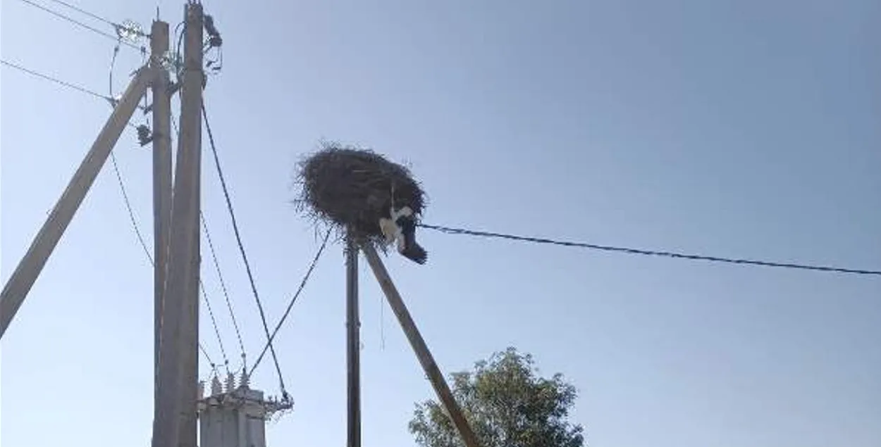 Буслу спатрэбілася дапамога
