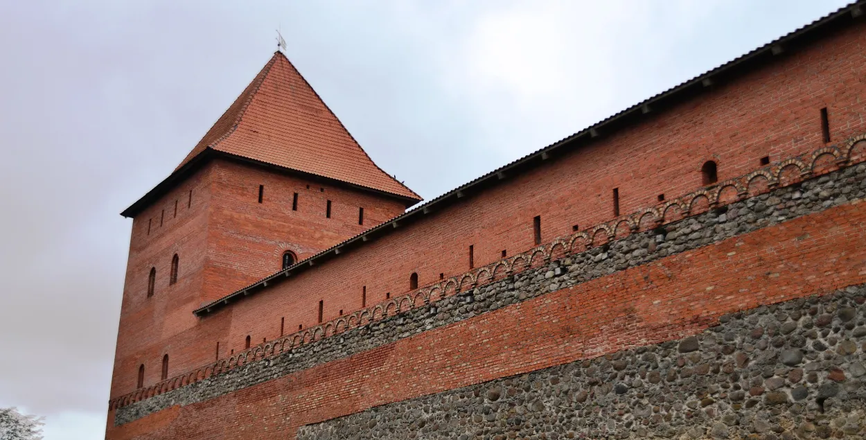 Лідскі замак
