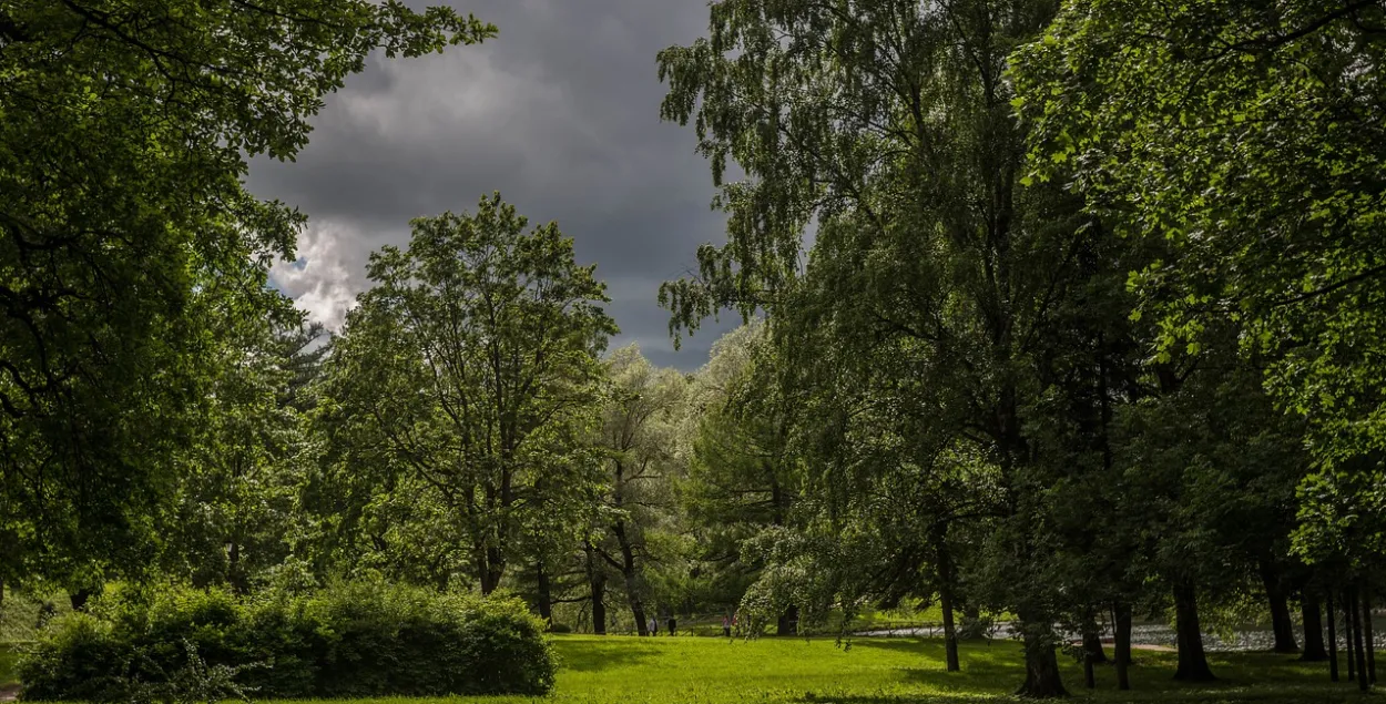 Перад навальніцай, ілюстрацыйнае фота
