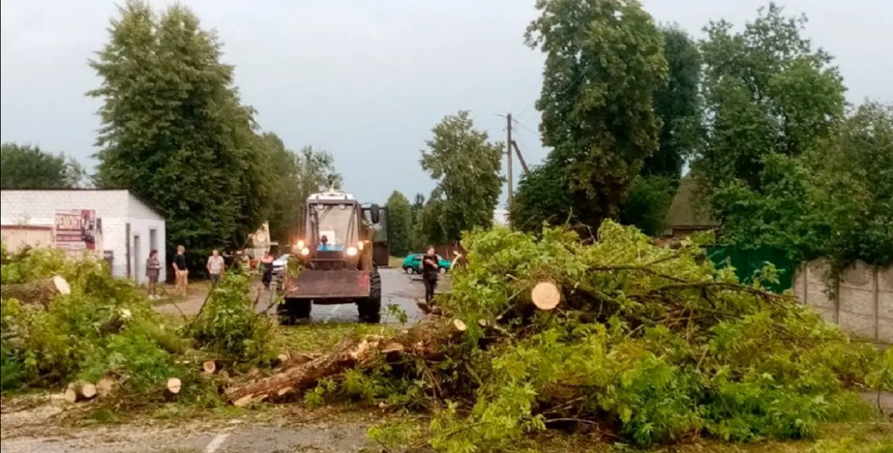 Стыхія ламае дрэвы ў Мазыры
