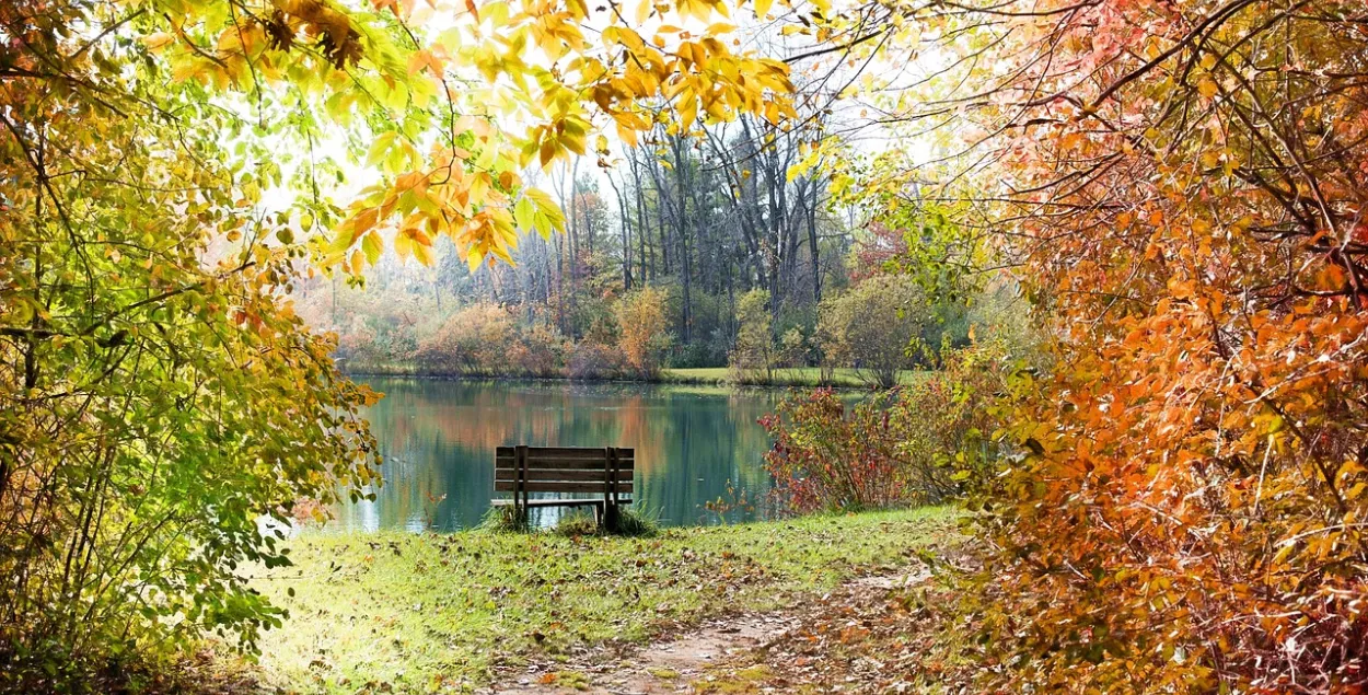 Кастрычнік, ілюстрацыйнае фота
