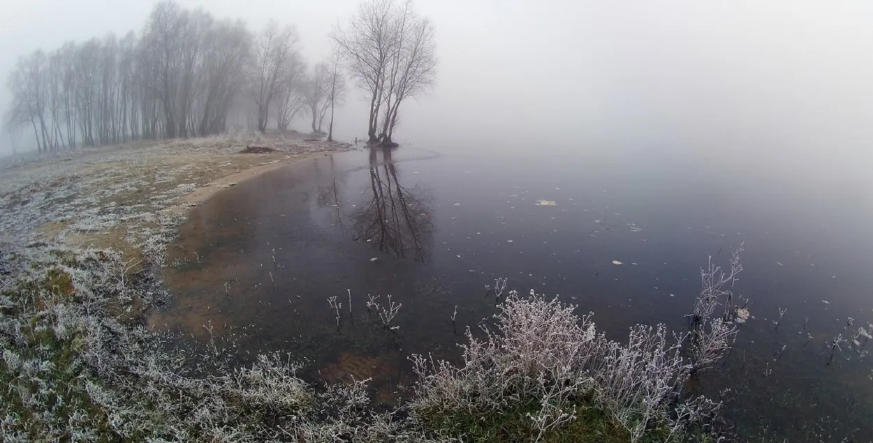 В декабре в Беларуси
