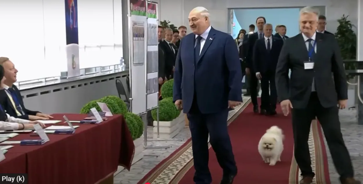 Александр Лукашенко и Умка на избирательном участке 26 января 2025 года

